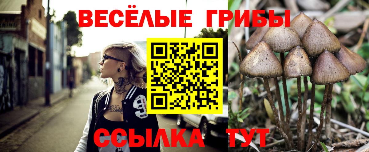 Галлюциногенные грибы ЛСД  Вход с VPN  Псилоцибиновые грибы Magic Shrooms  Сызрань 